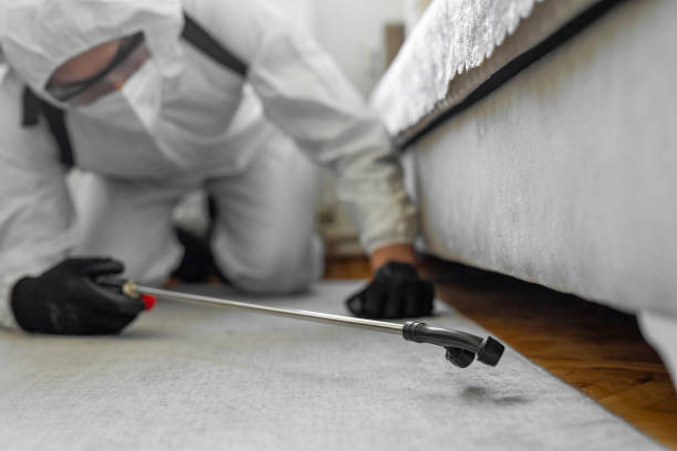 Professional Bed Bug Control technician working in Clearfield County County, PA